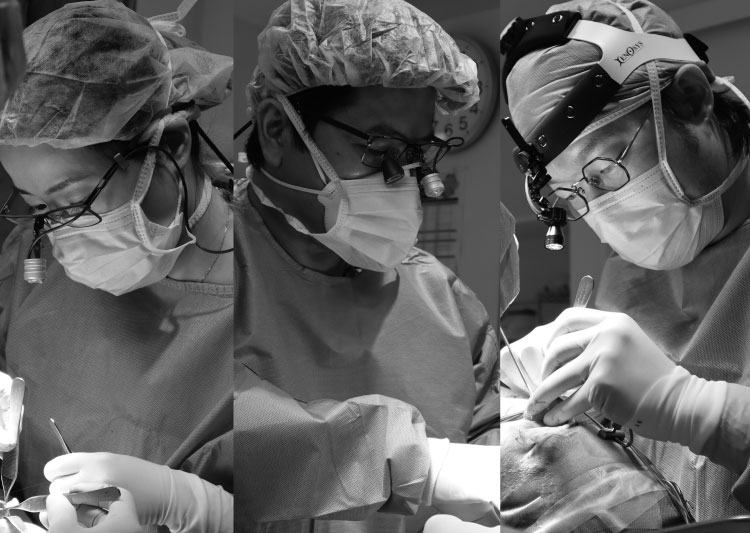 鼻や頭蓋顎顔面の専門家が集結