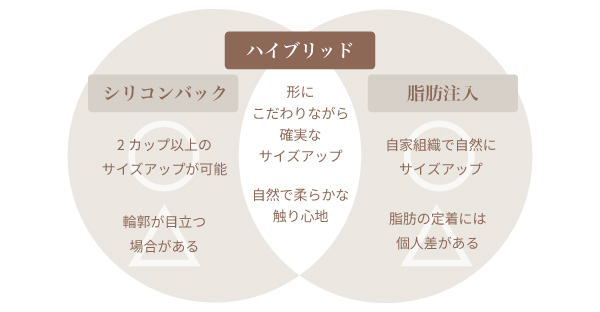 ハイブリッド豊胸