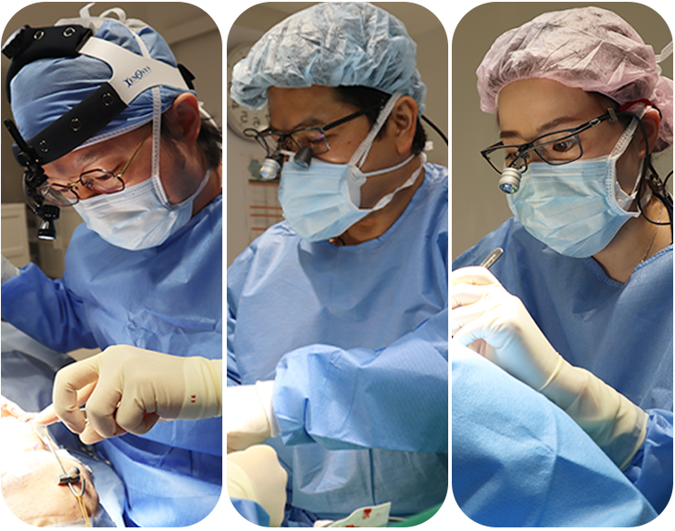 ザプラス美容外科医師